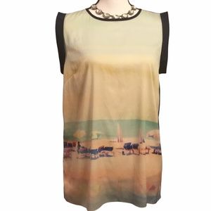 Like New Catherine Malandrino Gorgeous Blouse